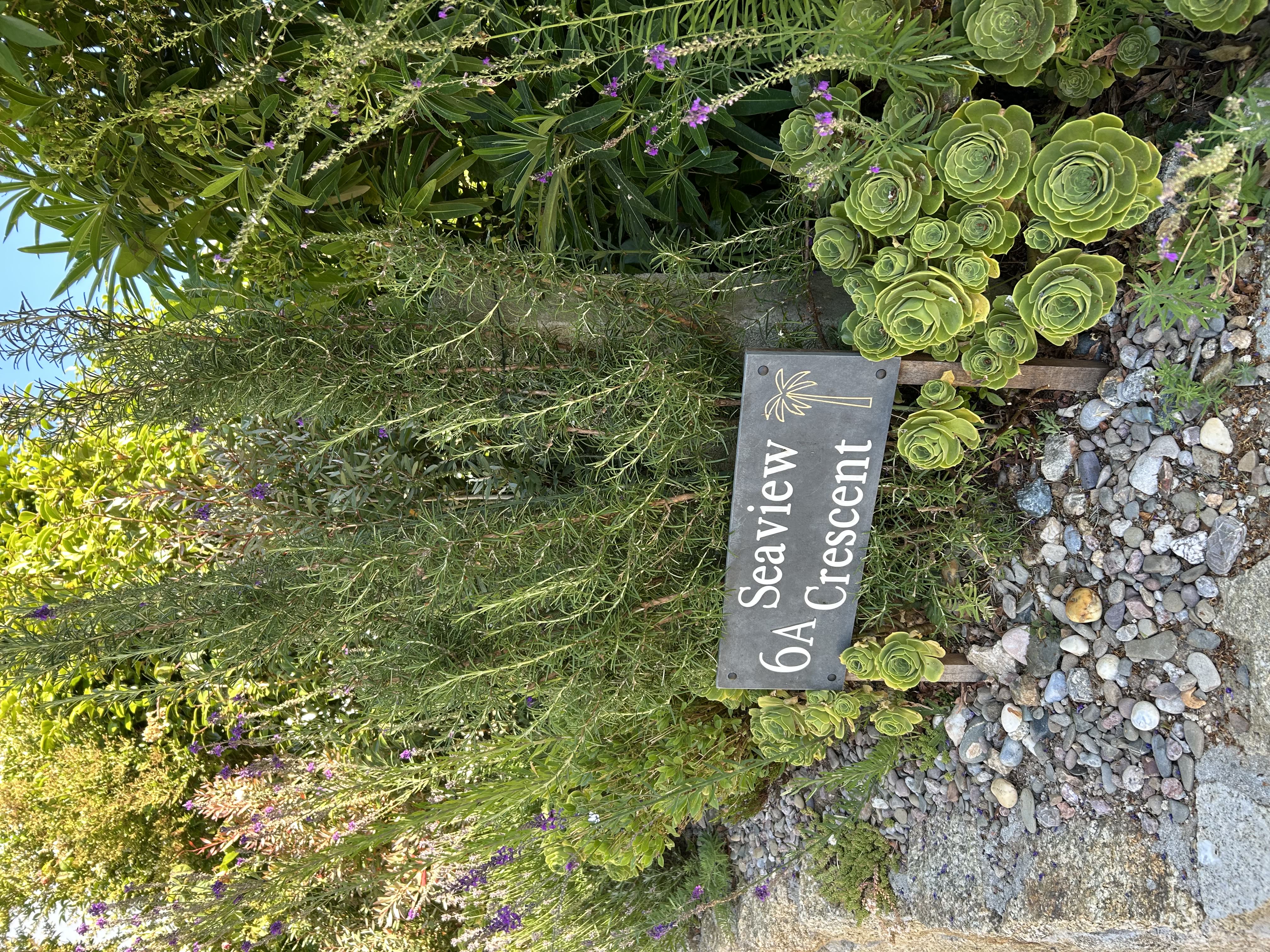Cornish granite gravel pathways and drought perennials