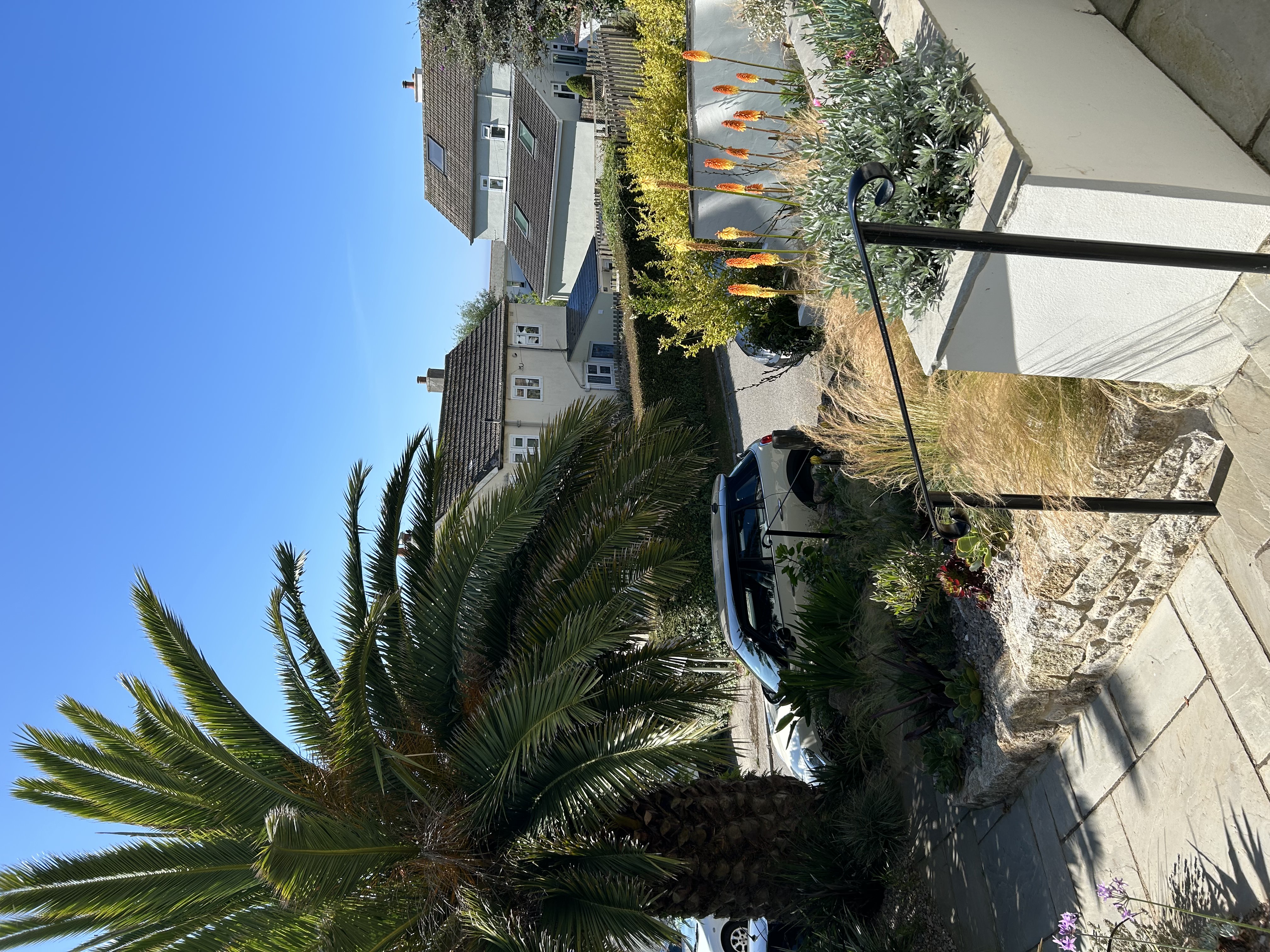 Delabole slate retaining terrace and architectural restios